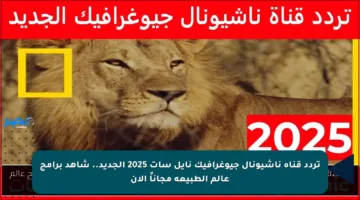 تردد قناة ناشيونال جيوغرافيك نايل سات 2025 الجديد.. شاهد برامج عالم الطبيعة مجاناً الآن